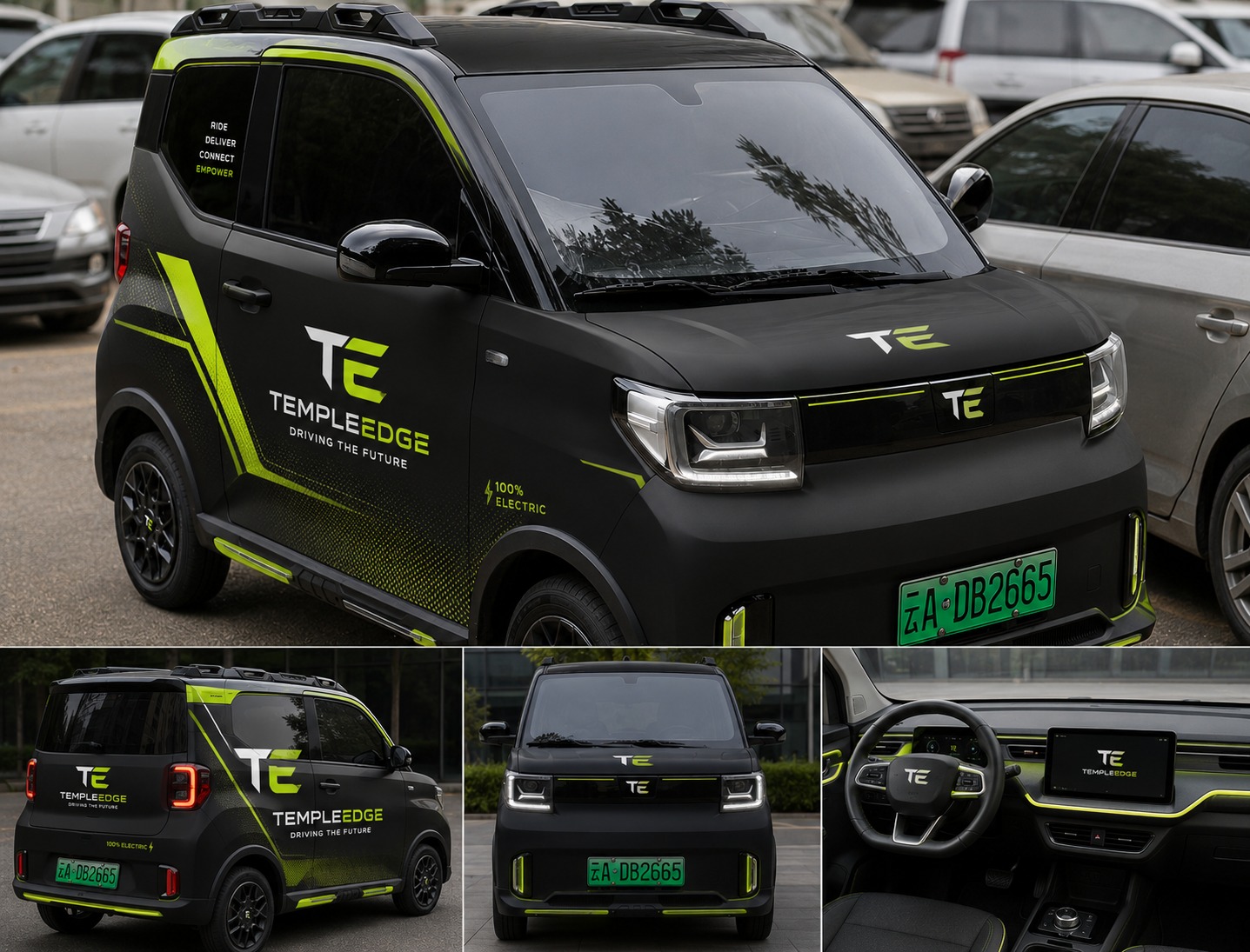 TempleEdge electric car fleet samples